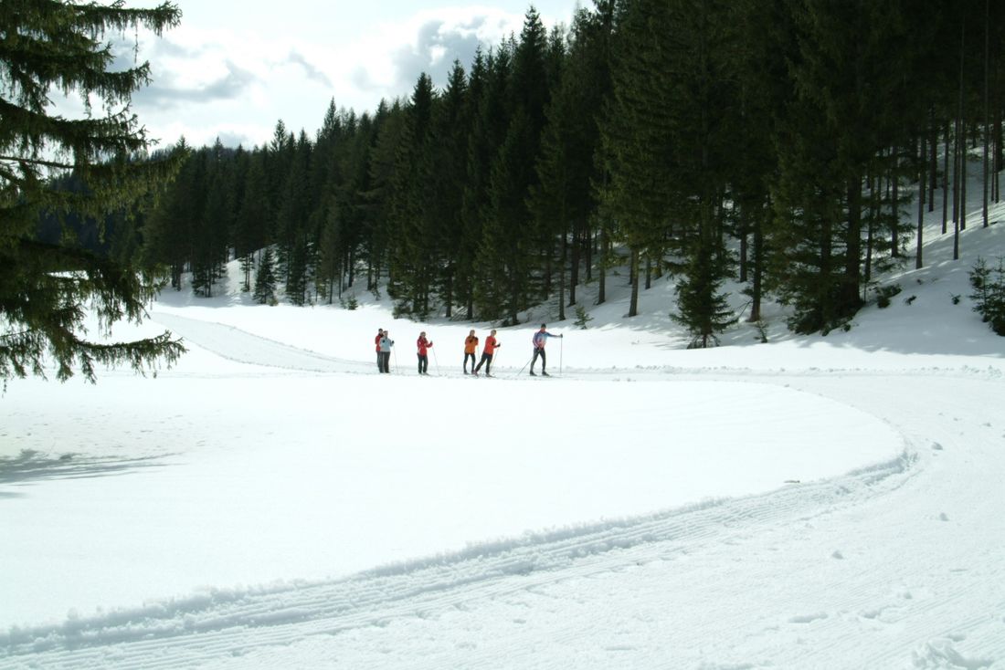 Langläufer auf Langlaufloipe